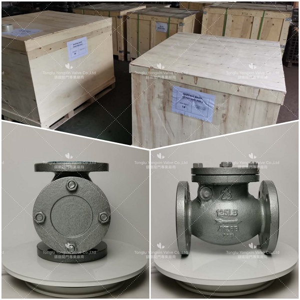 订单XU225-2_800套旋启式止回阀整装待发！